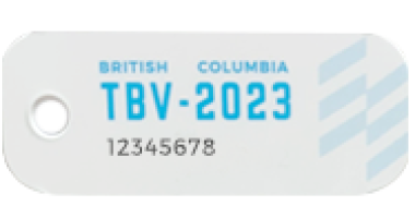 2023_TB Vets Key Tags test 2